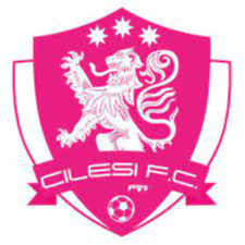 https://img.mingjushi.com.cn/img/football/team/7aa0eae9d284e6aab302a00cb5107481.png